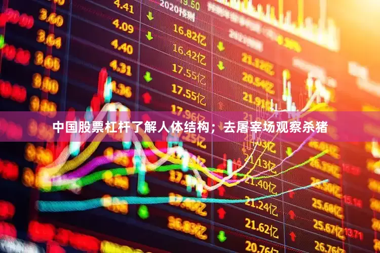 中国股票杠杆了解人体结构；去屠宰场观察杀猪