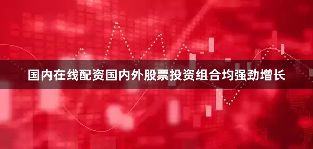 国内在线配资国内外股票投资组合均强劲增长