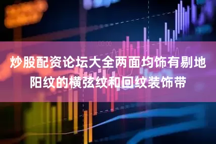 炒股配资论坛大全两面均饰有剔地阳纹的横弦纹和回纹装饰带