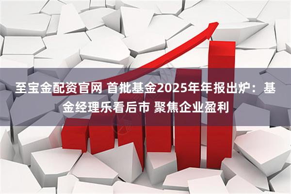 至宝金配资官网 首批基金2025年年报出炉：基金经理乐看后市 聚焦企业盈利
